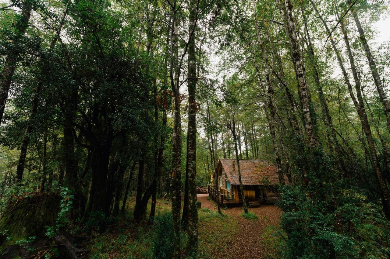 Huilo Huilo Cabanas Del Bosque Puerto Fuy Camera foto