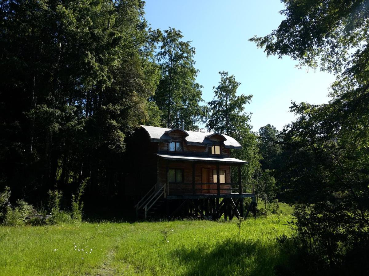 Huilo Huilo Cabanas Del Bosque Puerto Fuy Esterno foto